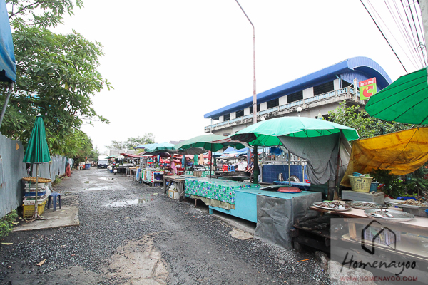 บ้านพฤกษา 77-รอบโครงการ-11