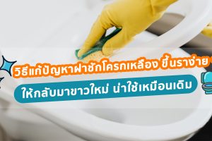 วิธีแก้ปัญหาฝาชักโครกเหลือง ขึ้นราง่าย ๆ ให้กลับมาขาวใหม่ น่าใช้เหมือนเดิม