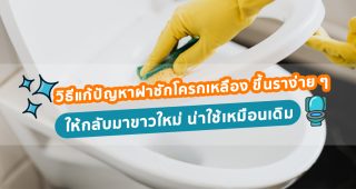 วิธีแก้ปัญหาฝาชักโครกเหลือง ขึ้นราง่าย ๆ ให้กลับมาขาวใหม่ น่าใช้เหมือนเดิม