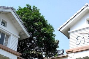 บ้านเดี่ยว อารียา บุษบา ลาดพร้าว AREEYA BUSSABA LADPRAO