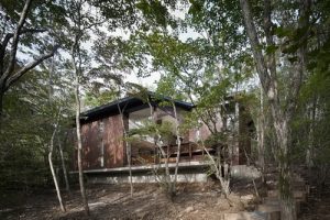 แบบบ้านชั้นครึ่ง Minimalist สไตล์ญี่ปุ่น บ้านเล่นระดับในป่าที่ร่มครึ้ม