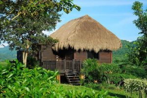 แบบบ้านเรือนไทย บ้านไร่แสงอรุณ โฮมสเตย์สวย ๆ กับชีวิตในท้องทุ่ง