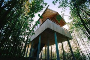 แบบบ้านไม้ใต้ถุนสูง สวยสงบงามกลางป่า ประยุกต์เป็นบ้านหนีน้ำท่วมได้