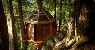 กระท่อมลอยฟ้า บ้าน Hemloft อาศัยในป่า