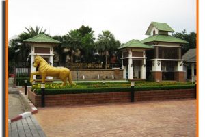 บ้านเดี่ยว บ้านทองสถิตย์ 9 Baan Thongsathit 9