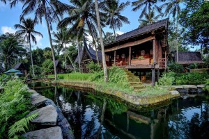 รีสอร์ตแสนสวยในบาหลี Bambu Indah Resort