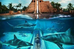 โรงแรม Golden Nugget Hotel & Casino โรงแรมสุดหรูใน Las Vegas
