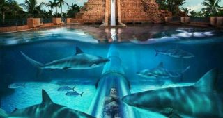 โรงแรม Golden Nugget Hotel & Casino โรงแรมสุดหรูใน Las Vegas
