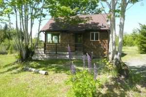 Cottage ไม้ยกพื้นสูง สวยสงบเป็นส่วนตัว