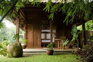 Yabbiekayu Homestay บังกะโลโฮมสเตย์กลางทุ่งนาในอินโดนีเซีย