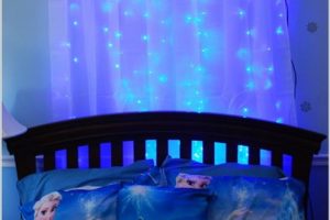 แต่งห้องนอนคุณหนูหัวใจ Frozen