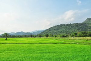 รู้หน้าไม่รู้ใจ แชร์ประสบการณ์ขายที่ดินแล้ว…โดนโกง!!