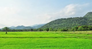รู้หน้าไม่รู้ใจ แชร์ประสบการณ์ขายที่ดินแล้ว…โดนโกง!!