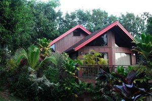คอทเทจไม้สีน้ำตาลสุดคลาสสิก บรรยากาศป่า Tropical