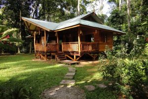 Jungle-Beach Cottage คอทเทจกลางป่าโปร่งสดชื่นในคอสตาริก้า