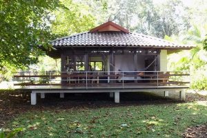 บ้านไม้ยกพื้นโมเดิร์นคอทเทจ จากเมือง Limon ในอเมริกากลาง