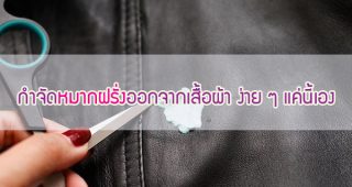 วิธีกำจัด