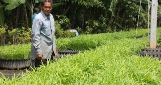 ปลูกผักบุ้งจีน ในล้อยางรถยนต์ สร้างรายได้ 2.5 หมื่นบาทต่อเดือน