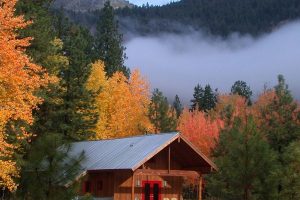 Mazama Cabin เคบินไม้สองชั้น กลางป่า Arizona