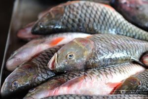 รวมเทคนิคระดับเซียน! ขจัดปัญหา