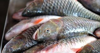 รวมเทคนิคระดับเซียน! ขจัดปัญหา