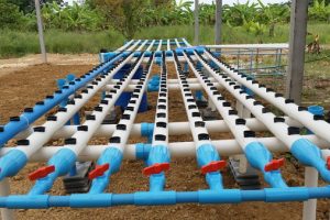 วิธีทำแปลงปลูก - พร้อมเทคนิคการปลูกผัก Hydroponics