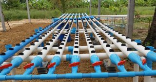 วิธีทำแปลงปลูก - พร้อมเทคนิคการปลูกผัก Hydroponics