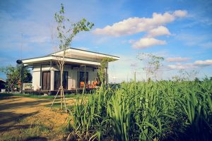 รีวิว : สร้างบ้านชั้นเดียวสไตล์โมเดิร์นลอฟท์ กลางไร่ แบบพอเพียง ด้วยงบประมาณ 1.03 ล้านบาท* รวมบิวท์อินภายใน