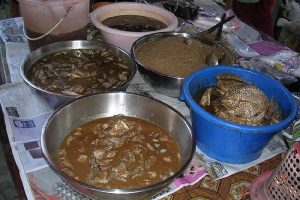 กิน