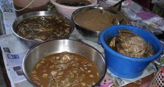 กิน
