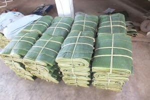 ปลูกกล้วยขายใบ...โกยเงินชิลๆ เดือนละ 40,000-50,000 บาท