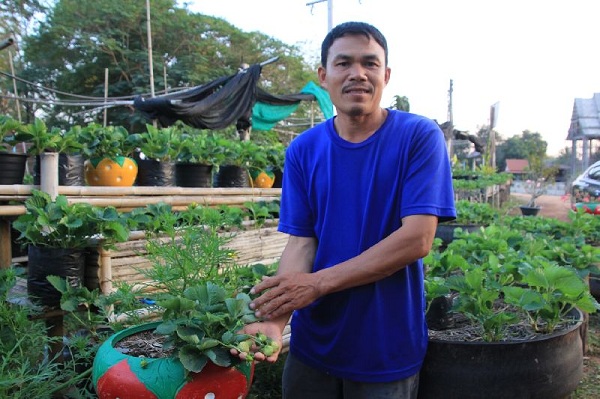 ไอเดียพลิกวิกฤต! หนุ่มสวนยาง ผันตัวปลูก “สตรอว์เบอร์รี” ในกระถาง รายได้เดือนเป็นแสน | 2023 / 2566 รีวิวคอนโด คอนโดใหม่ บ้านเดี่ยว ทาวน์โฮม ทาวน์เฮ้าส์ คอนโดเปิดใหม่, คอนโดพร้อมอยู่ , คอนโด ใกล้-ติด รถไฟฟ้า BTS, รถไฟฟ้าใต้ดิน MRT, คอนโดมือสอง คอนโดให้ ... ไอเดียพลิกวิกฤต! หนุ่มสวนยาง ผันตัวปลูก “สตรอว์เบอร์รี” ในกระถาง รายได้เดือนเป็นแสน | 2023 / 2566 รีวิวคอนโด คอนโดใหม่ บ้านเดี่ยว ทาวน์โฮม ทาวน์เฮ้าส์ คอนโดเปิดใหม่, คอนโดพร้อมอยู่ , คอนโด ใกล้-ติด รถไฟฟ้า Bts, รถไฟฟ้าใต้ดิน Mrt, คอนโดมือสอง คอนโดให้ ...
