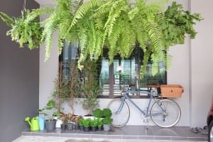 รีวิว : ตกแต่งทาวน์โฮม ให้โฮมมี่ อบอุ่น เหมือนบ้านมีชีวิต