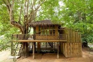 แบบบ้านต้นไม้ ยกพื้นสูง โฮมสเตย์ใกล้ชิดธรรมชาติ หลังคามุงจาก พร้อมชานพักขนาดใหญ่