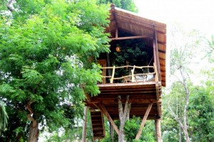 บ้านต้นไม้สวยโปร่งสุดโรแมนติกจากศรีลังกา