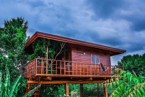 บ้านต้นไม้สวยเย็นเป็นหนึ่งเดียวกับธรรมชาติในศรีลังกา