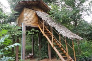 บ้านกะทัดรัดใต้ถุนสูง เงียบสงบเหมาะสำหรับปลีกวิเวก