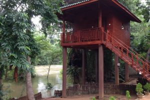บ้านไม้ยกพื้นริมคลองกลางสวน รับอากาศเย็นสงบสุดสบาย