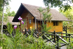 บ้านไม้ยกพื้นชั้นเดียวในรีสอร์ท Sepilok