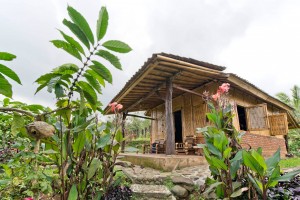 บ้านไม้ไผ่ฟาร์มสเตย์แนว Eco จากบาหลี