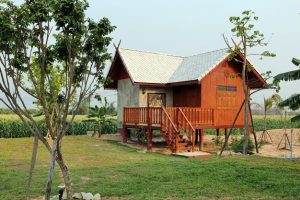 บ้านชมพู่.. โฮมสเตย์สวยโปร่งจากเชียงใหม่