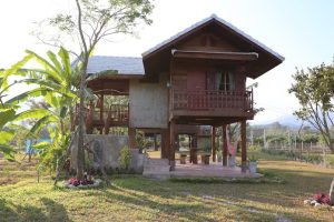 Banana House บ้านยกพื้นกลางชนบทจากเชียงดาว