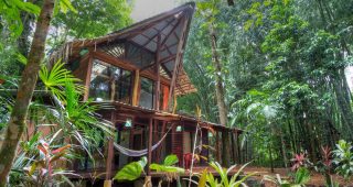 บ้านต้นไม้กลางป่าแนว Jungle house สดใสสุขสงบ
