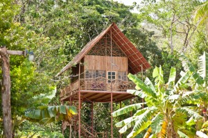 บ้านใต้ถุนสูงโปร่งกลางป่า สูงเหมือนอยู่บนต้นไม้