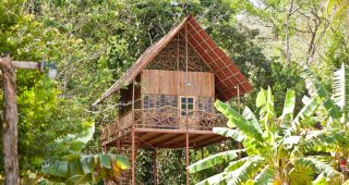 บ้านใต้ถุนสูงโปร่งกลางป่า สูงเหมือนอยู่บนต้นไม้