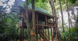 บ้านไม้ยกพื้นสูงโปร่งกลางป่าในเขาสก จังหวัดสุราษฎร์ธานี