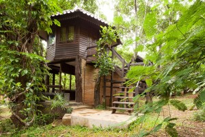 บ้านต้นไม้แนว Jungle สวยสงบจากเชียงใหม่