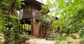 บ้านต้นไม้แนว Jungle สวยสงบจากเชียงใหม่