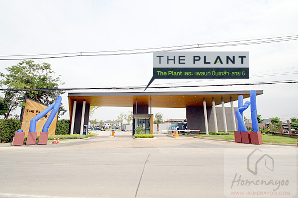 The Plant Pinglao-Sai5IMG_3847 copy
