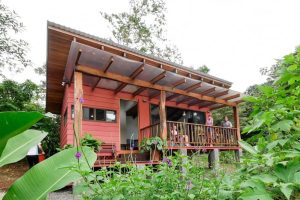 บ้านไม้ยกพื้นแนวโมเดิร์นลอฟท์บรรยากาศสวนกลางเกาะ